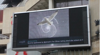 St Davids Star Picture_3.jpg